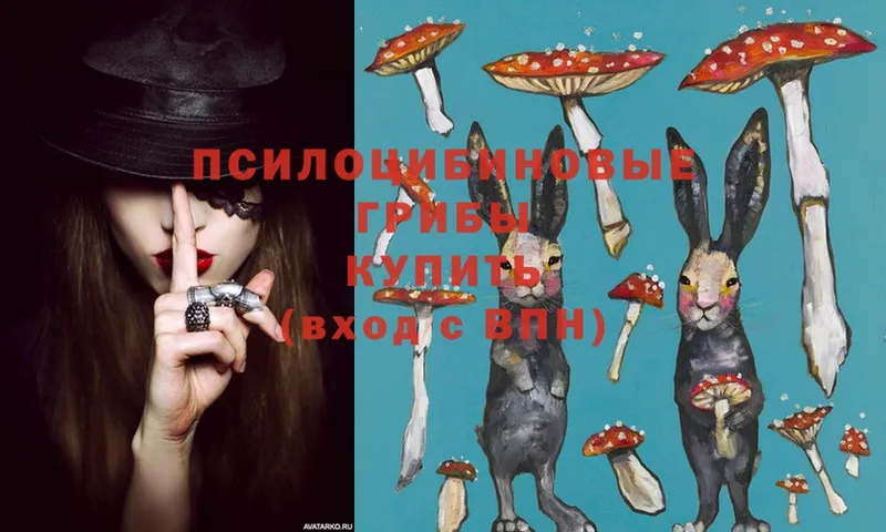 Галлюциногенные грибы Psilocybine cubensis  KRAKEN ONION  Харовск 